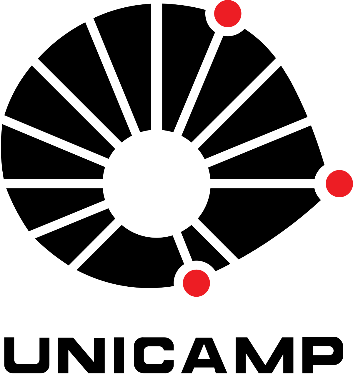 Vestibular UNICAMP 2019